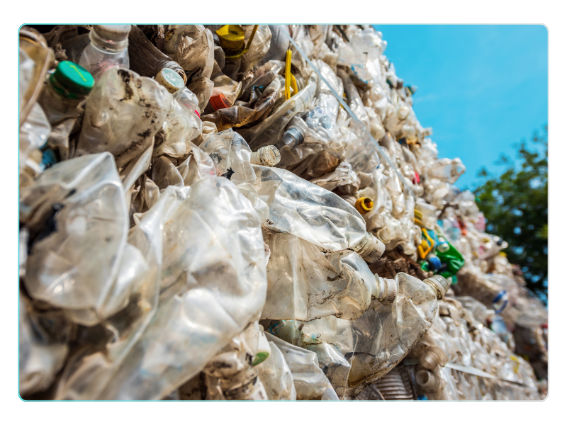 Environmental evidence image 3