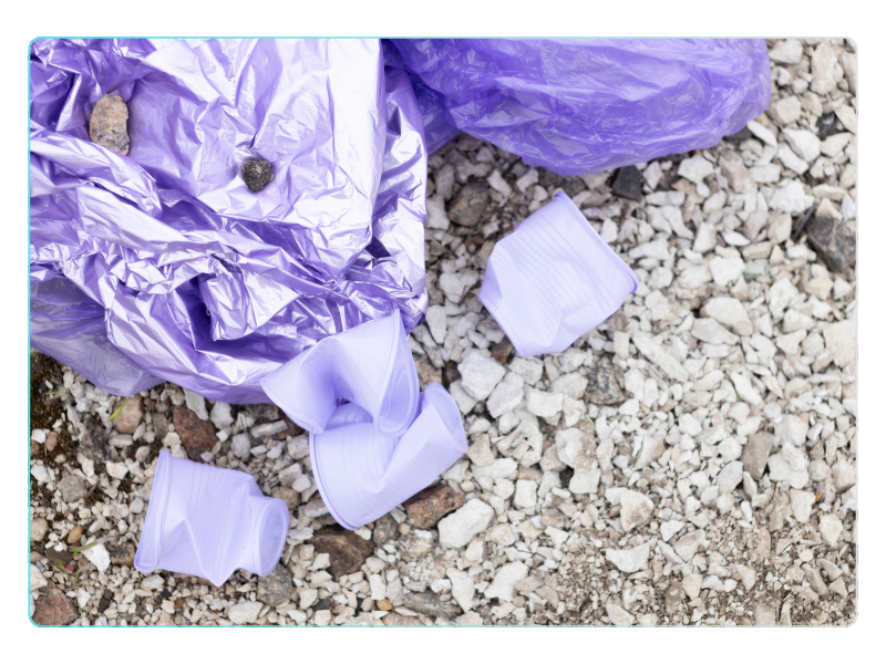 Environmental evidence image 4